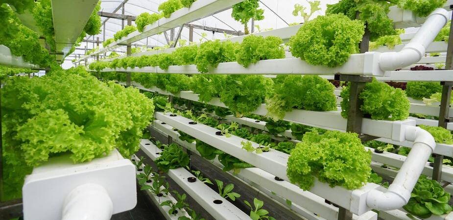 Vertical farming Nigeria